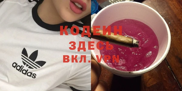 метадон Богданович