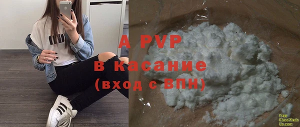 PSILOCYBIN Бугульма