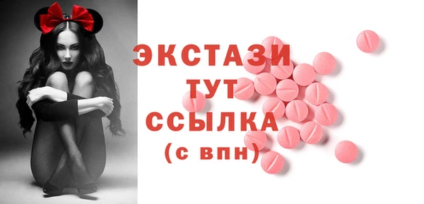 spice Богородицк
