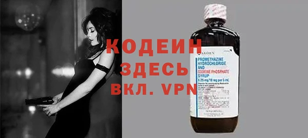 метадон Богданович
