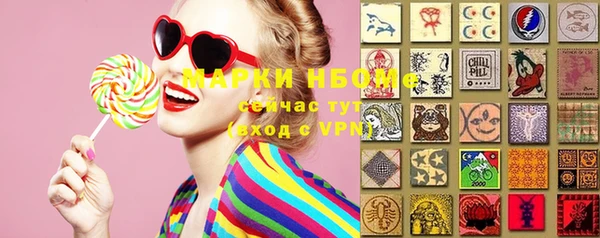 spice Богородицк