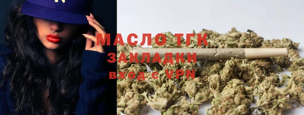 spice Богородицк