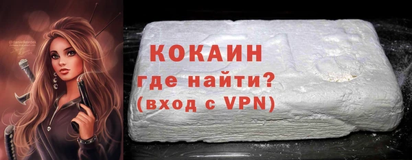 spice Богородицк