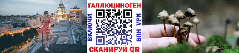 Галлюциногенные грибы GOLDEN TEACHER  Высоковск 